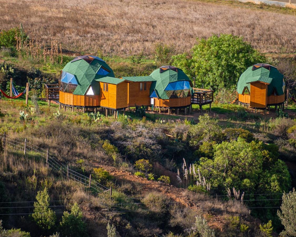 Los Nopales Glamping Sáchica Exterior foto