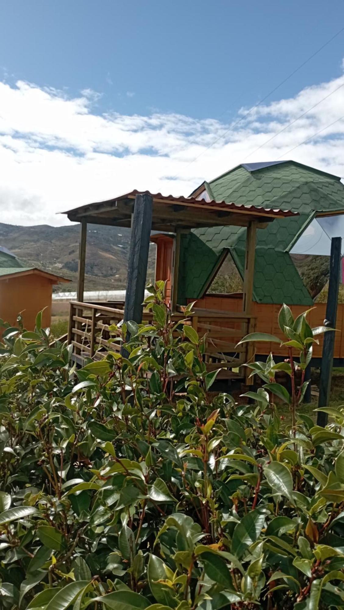 Los Nopales Glamping Sáchica Exterior foto